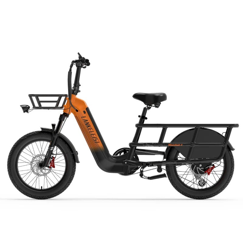LANKELEISI Wombat-1 20“ Lasten Elektrofahrrad 1000W Motor 48V 20Ah Batterie