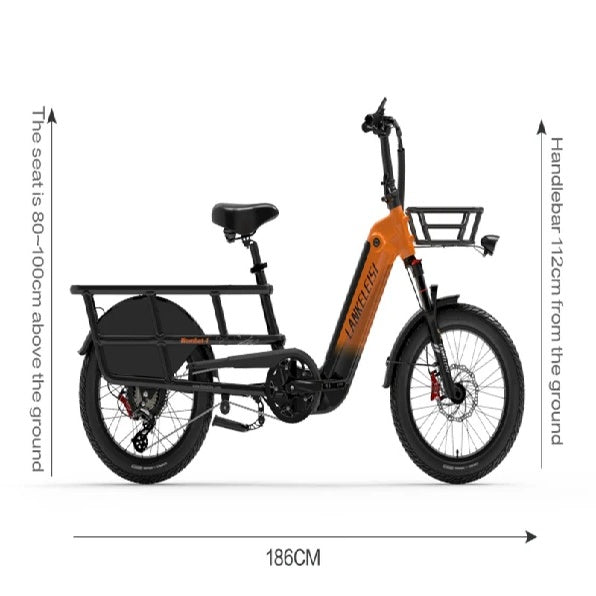 LANKELEISI Wombat-1 20“ Lasten Elektrofahrrad 1000W Motor 48V 20Ah Batterie