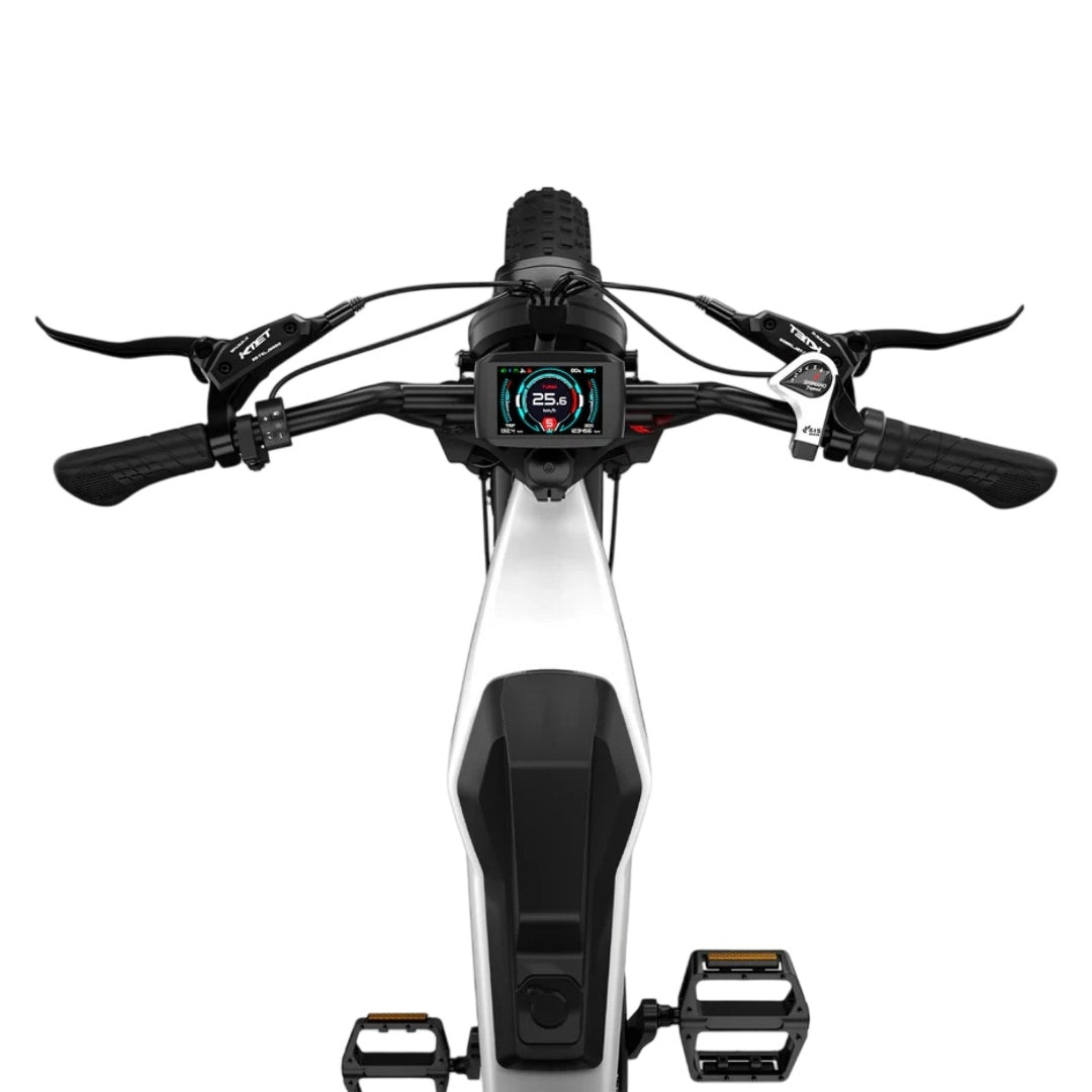 LUCKEEP M5 Ultra 20" Elektro-Mountainbike 1000W*2 Dual-Motoren 52V 20Ah+20Ah Batterie