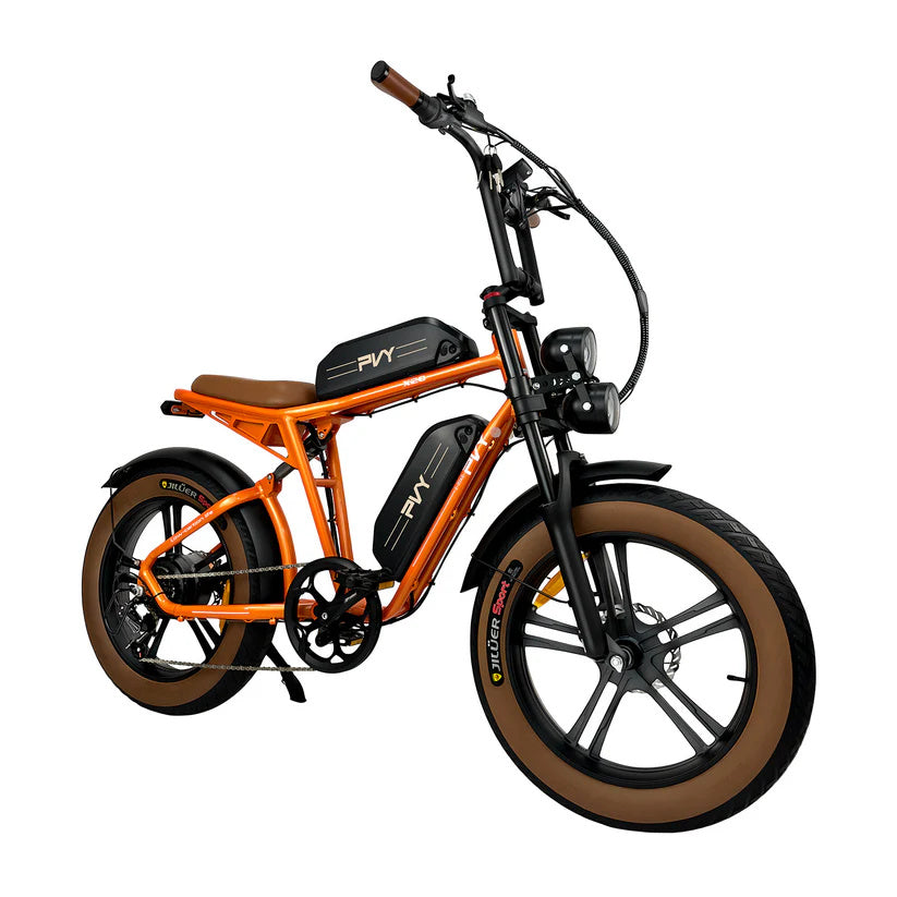 PVY X20 20" Elektro-Mountainbike 250W Motor 48V 30Ah Batterie