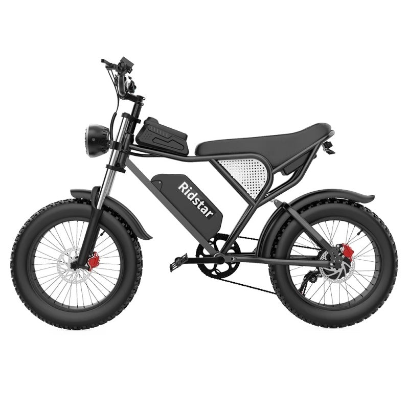 Ridstar-Q20-Fat-Tires-Elektrofahrrad-1000W-Motor-48V-20Ah-Batterie-schwarz