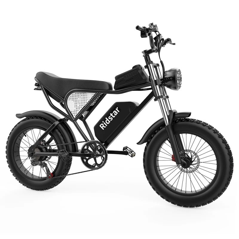 Ridstar-Q20-Fat-Tires-Elektrofahrrad-1000W-Motor-48V-20Ah-Batterie-schwarz