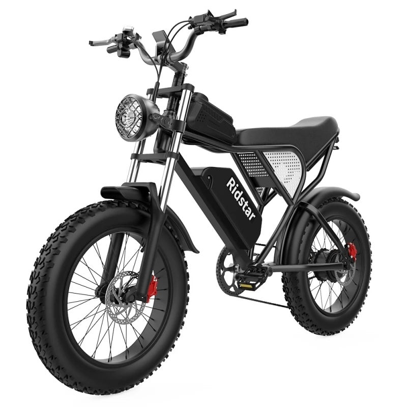 Ridstar-Q20-Fat-Tires-Elektrofahrrad-1000W-Motor-48V-20Ah-Batterie-schwarz