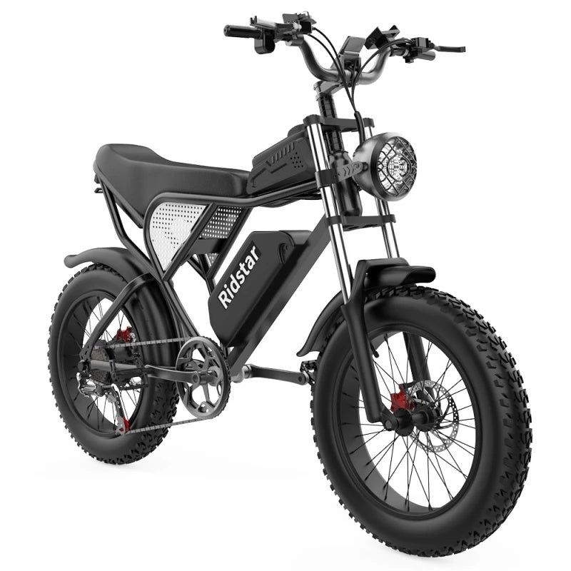 Ridstar-Q20-Fat-Tires-Elektrofahrrad-1000W-Motor-48V-20Ah-Batterie-schwarz