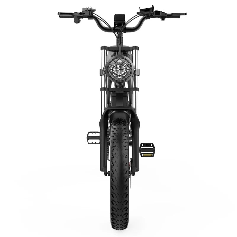 Ridstar-Q20-Fat-Tires-Elektrofahrrad-1000W-Motor-48V-20Ah-Batterie-schwarz