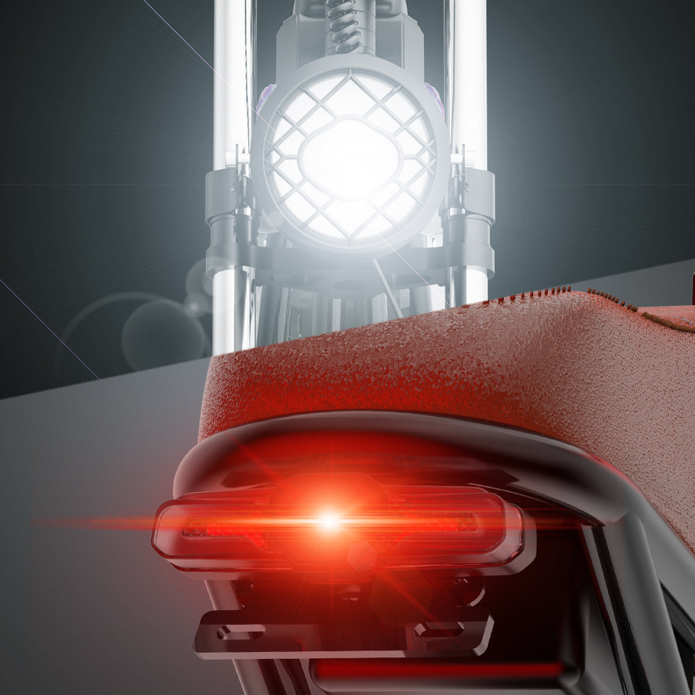 YVY C20(Q20) 20" Fat Tires Elektrofahrrad 1000W Motor 48V 20Ah Batterie