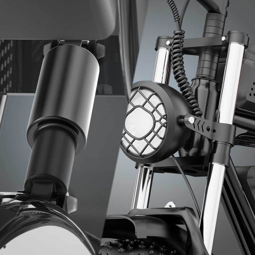 YVY C20(Q20) 20" Fat Tires Elektrofahrrad 1000W Motor 48V 20Ah Batterie