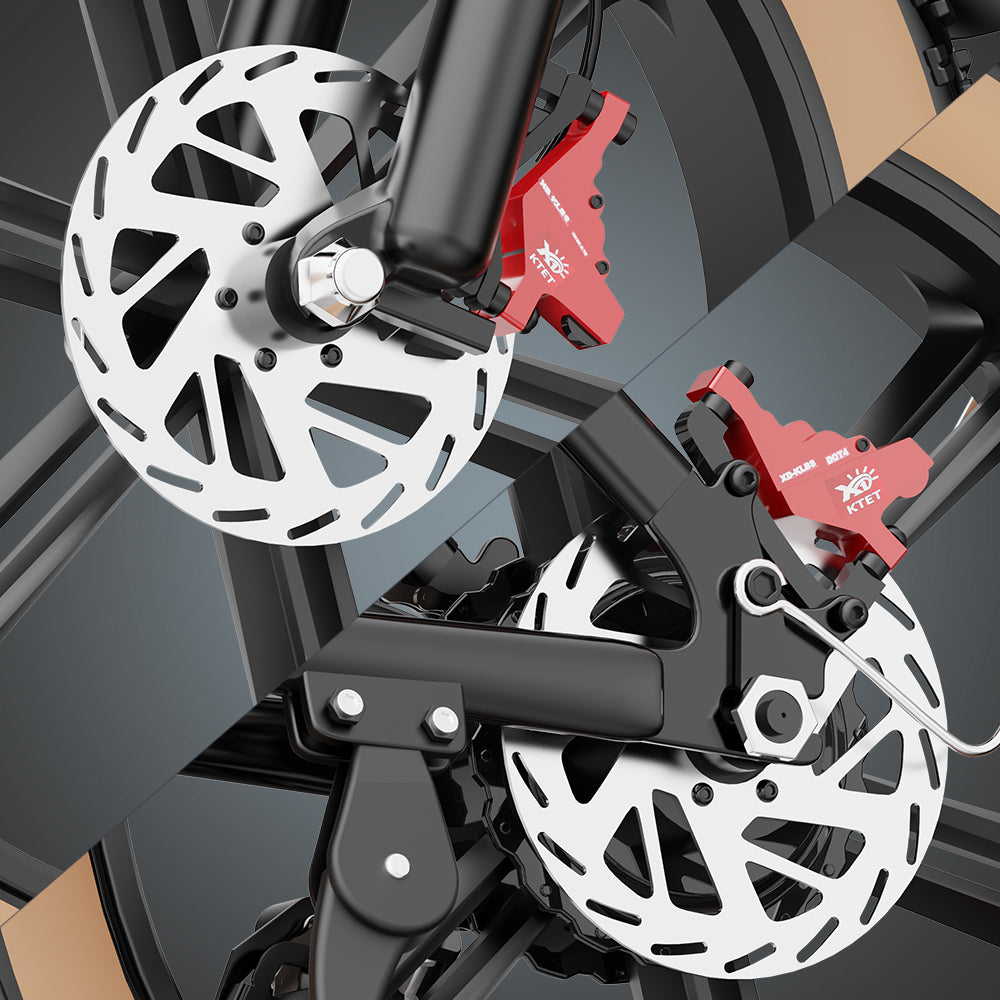 YVY C20(Q20) 20" Fat Tires Elektrofahrrad 1000W Motor 48V 20Ah Batterie