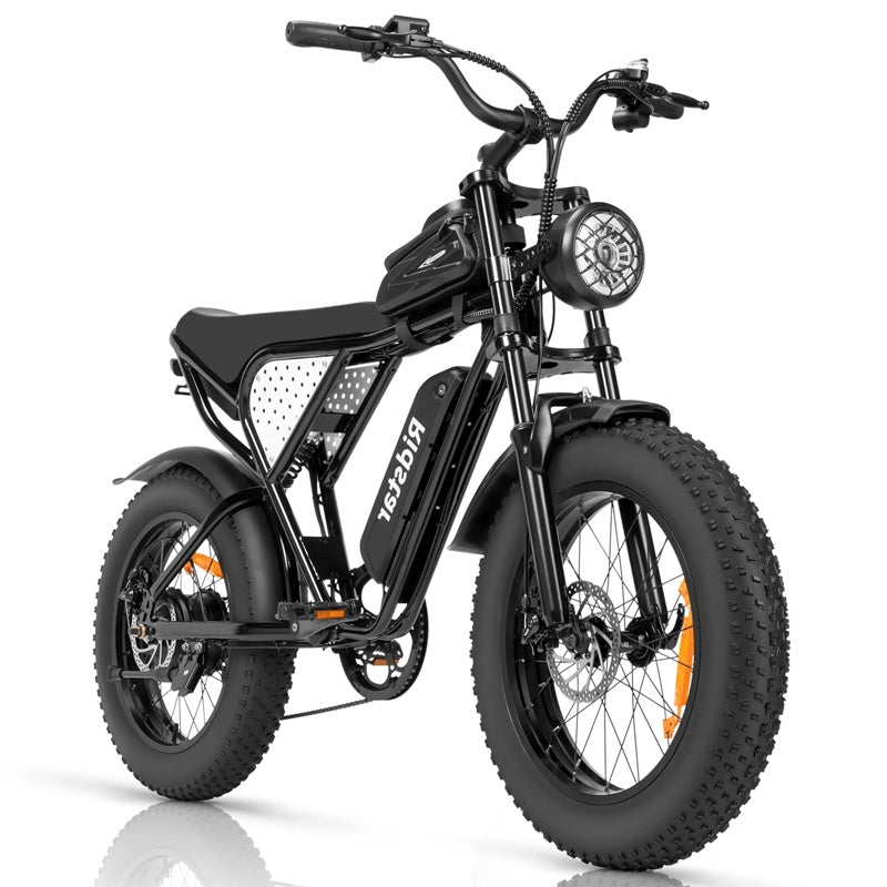Ridstar-Q20-Lite-Fat-Tires-Elektrofahrrad-1000W-Motor-48V-15Ah-Batterie-schwarz