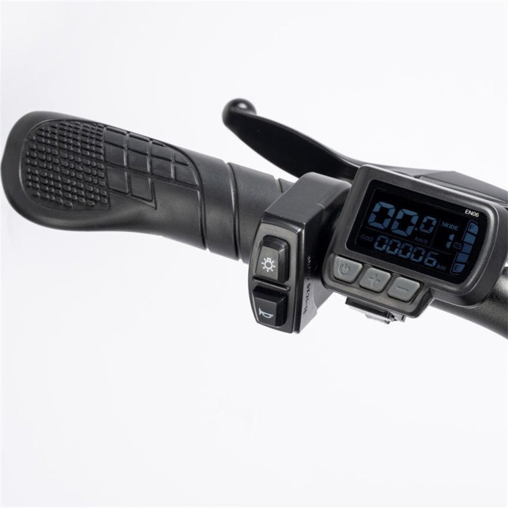 Ridstar-Q20-Lite-Fat-Tires-Elektrofahrrad-1000W-Motor-48V-15Ah-Batterie-schwarz