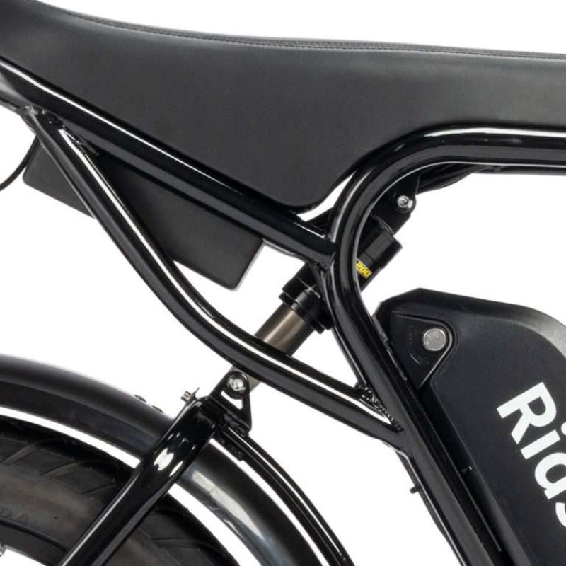 Ridstar-Q20-Lite-Fat-Tires-Elektrofahrrad-1000W-Motor-48V-15Ah-Batterie-schwarz