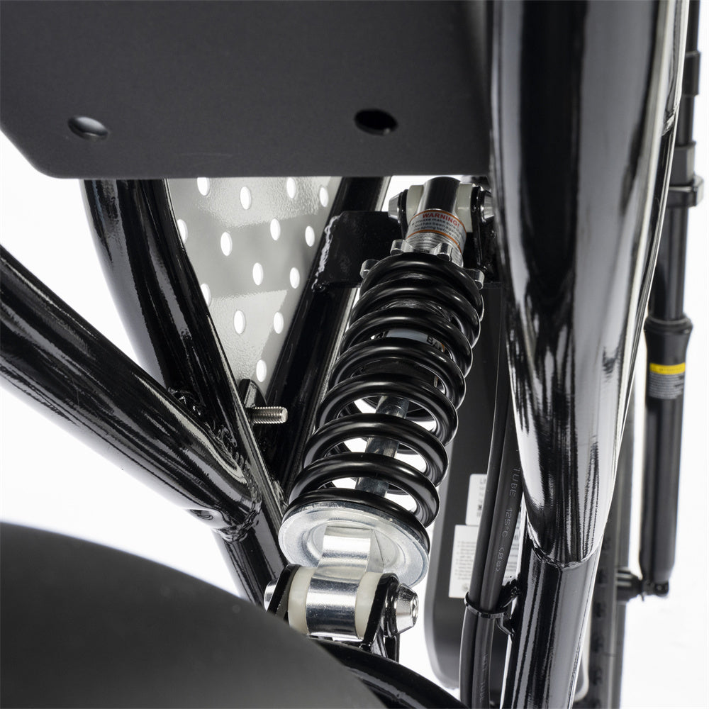 Ridstar-Q20-Lite-Fat-Tires-Elektrofahrrad-1000W-Motor-48V-15Ah-Batterie-schwarz