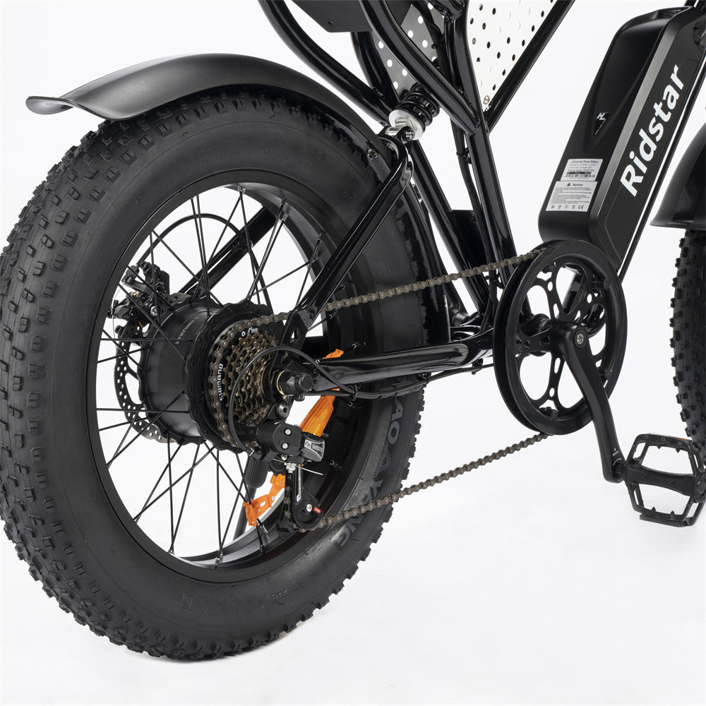 Ridstar-Q20-Lite-Fat-Tires-Elektrofahrrad-1000W-Motor-48V-15Ah-Batterie-schwarz