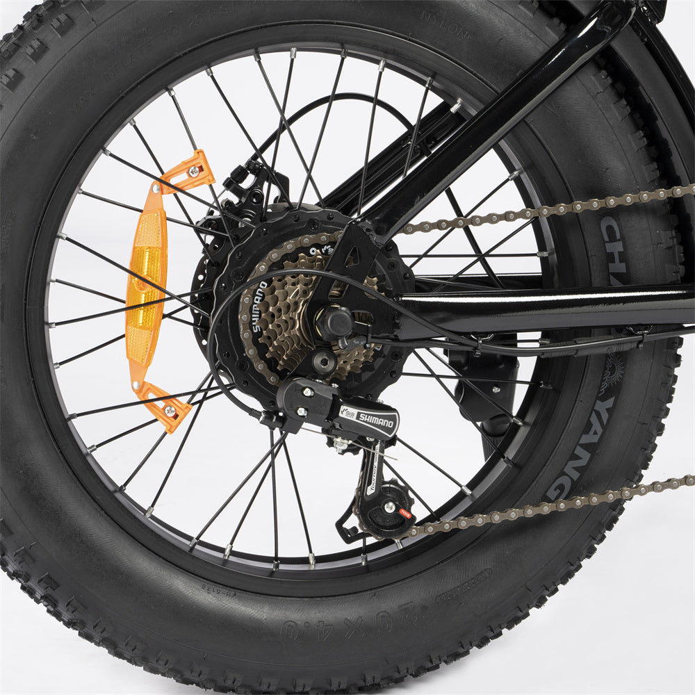 Ridstar-Q20-Lite-Fat-Tires-Elektrofahrrad-1000W-Motor-48V-15Ah-Batterie-schwarz