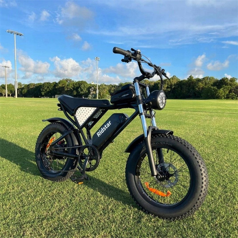 Ridstar-Q20-Lite-Fat-Tires-Elektrofahrrad-1000W-Motor-48V-15Ah-Batterie-schwarz