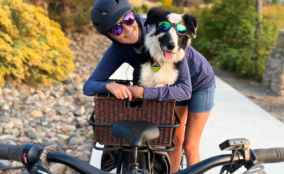 Wie fahren Sie sicher mit Ihrem Hund?  DE_GleeRide