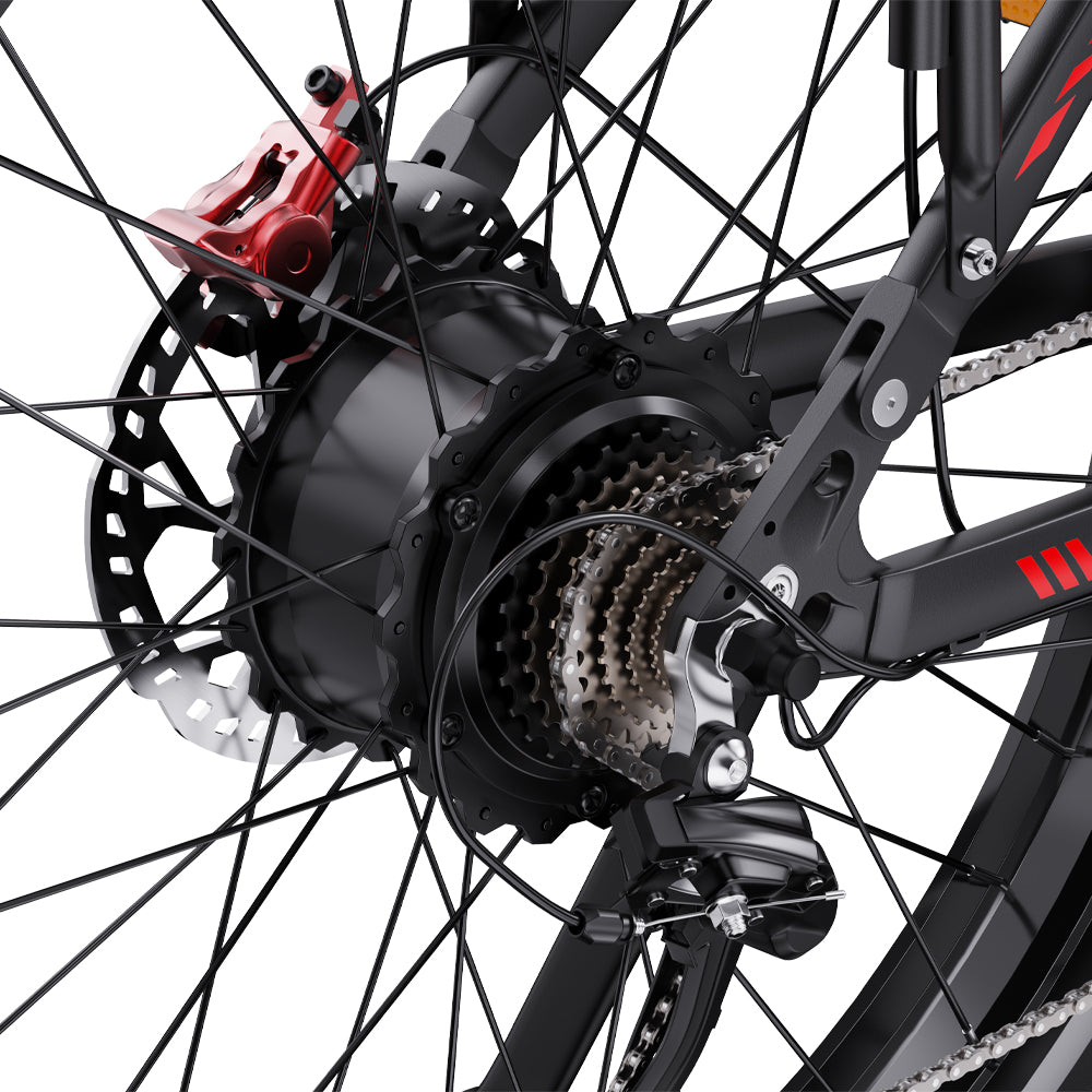 DUOTTS S26 26" Elektrofahrrad Mountainbike 750W*2 Motors 48V 20Ah Batterie