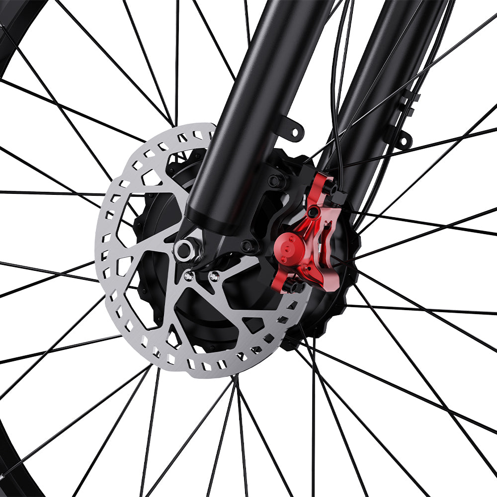 DUOTTS S26 26" Elektrofahrrad Mountainbike 750W*2 Motors 48V 20Ah Batterie