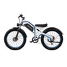 DUOTTS N26 26" Fat Tire Electric Mountainbike 750W Doppelmotoren 48V 20Ah Batterie