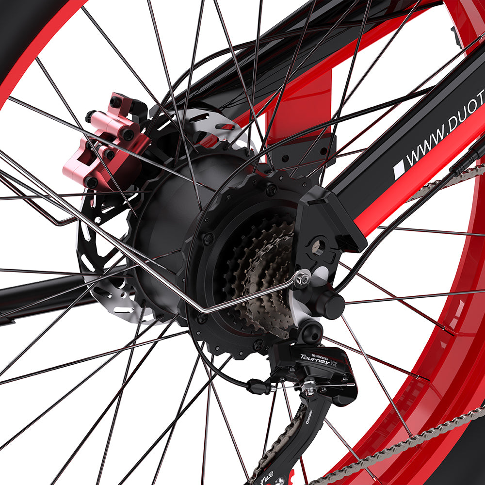 DUOTTS N26 26" Fat Tire Electric Mountainbike 750W Doppelmotoren 48V 20Ah Batterie
