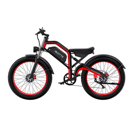 DUOTTS N26 26" Fat Tire Electric Mountainbike 750W Doppelmotoren 48V 20Ah Batterie