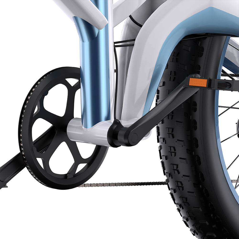 DUOTTS N26 26" Fat Tire Electric Mountainbike 750W Doppelmotoren 48V 20Ah Batterie