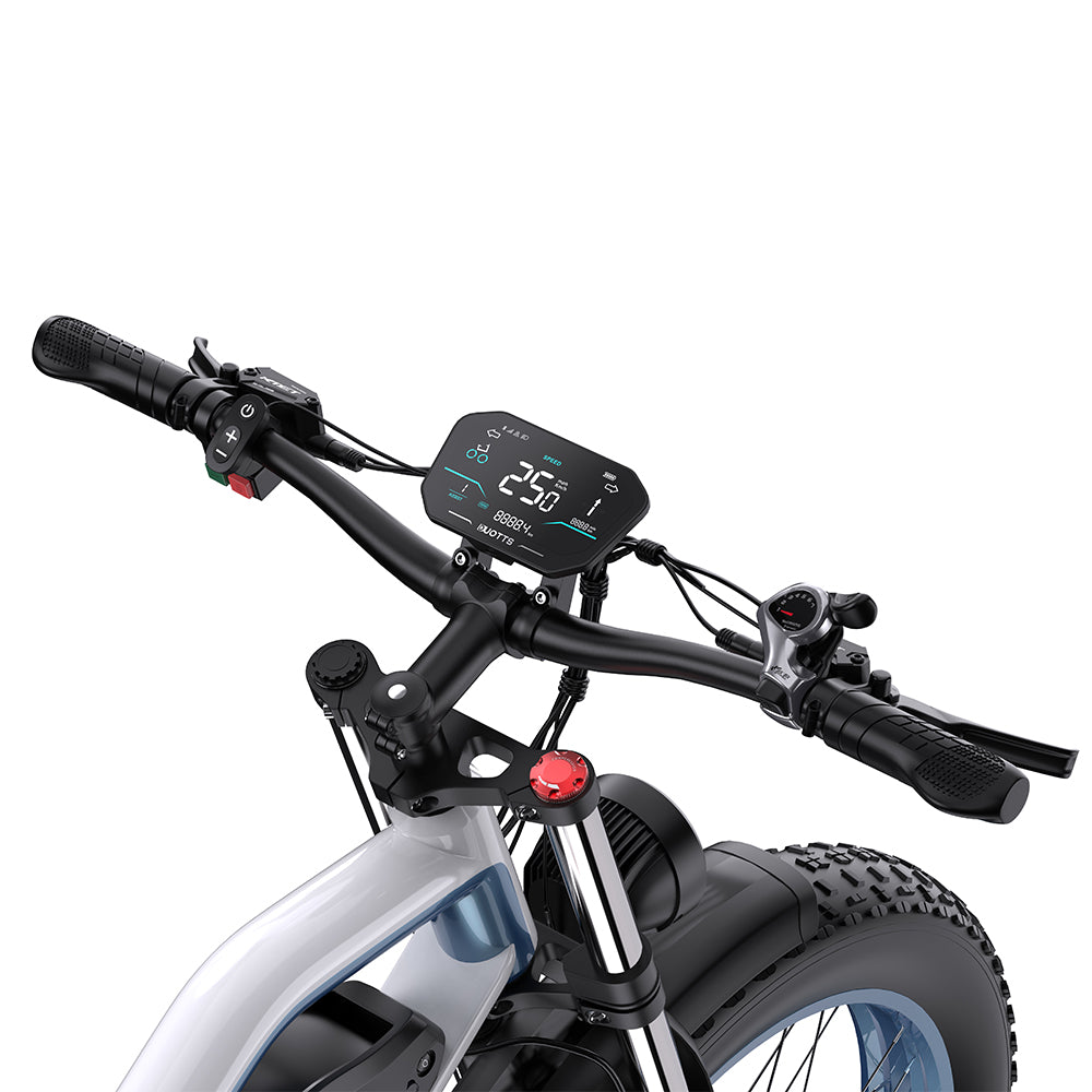 DUOTTS N26 26" Fat Tire Electric Mountainbike 750W Doppelmotoren 48V 20Ah Batterie