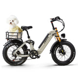 CEAYA A20 Pro 20" Fat Tire Elektro-All-Terrain-Bike 500W Motor 48V 20Ah Batterie