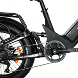 BAOLUJIE P4 DP 2011 24" Elektrisches Mountainbike 2000W Motor 48V 20Ah Batterie