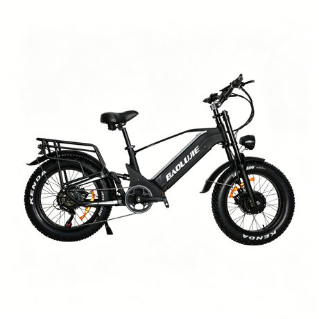 BAOLUJIE P4 DP 2011 24" Elektrisches Mountainbike 2000W Motor 48V 20Ah Batterie