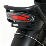 BAOLUJIE P4 DP 2011 24" Elektrisches Mountainbike 2000W Motor 48V 20Ah Batterie