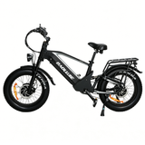 BAOLUJIE P4 DP 2011 24" Elektrisches Mountainbike 2000W Motor 48V 20Ah Batterie