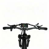 BAOLUJIE P4 DP 2011 24" Elektrisches Mountainbike 2000W Motor 48V 20Ah Batterie