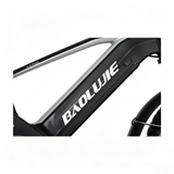 BAOLUJIE P4 DP 2011 24" Elektrisches Mountainbike 2000W Motor 48V 20Ah Batterie