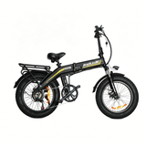 BAOLUJIE BLJ D7 20" Faltbares Elektrofahrrad 500W Motor 48V 12Ah Batterie