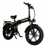BAOLUJIE BLJ D7 20" Faltbares Elektrofahrrad 500W Motor 48V 12Ah Batterie