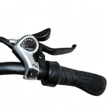 BAOLUJIE BLJ D7 20" Faltbares Elektrofahrrad 500W Motor 48V 12Ah Batterie