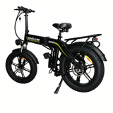 BAOLUJIE BLJ D7 20" Faltbares Elektrofahrrad 500W Motor 48V 12Ah Batterie