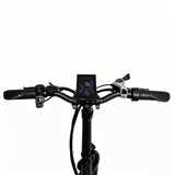 BAOLUJIE BLJ D7 20" Faltbares Elektrofahrrad 500W Motor 48V 12Ah Batterie
