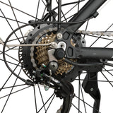 BAOLUJIE DP-2602 26" Fatbike-Elektrofahrrad 2000W Motor 48V 23Ah Batterie