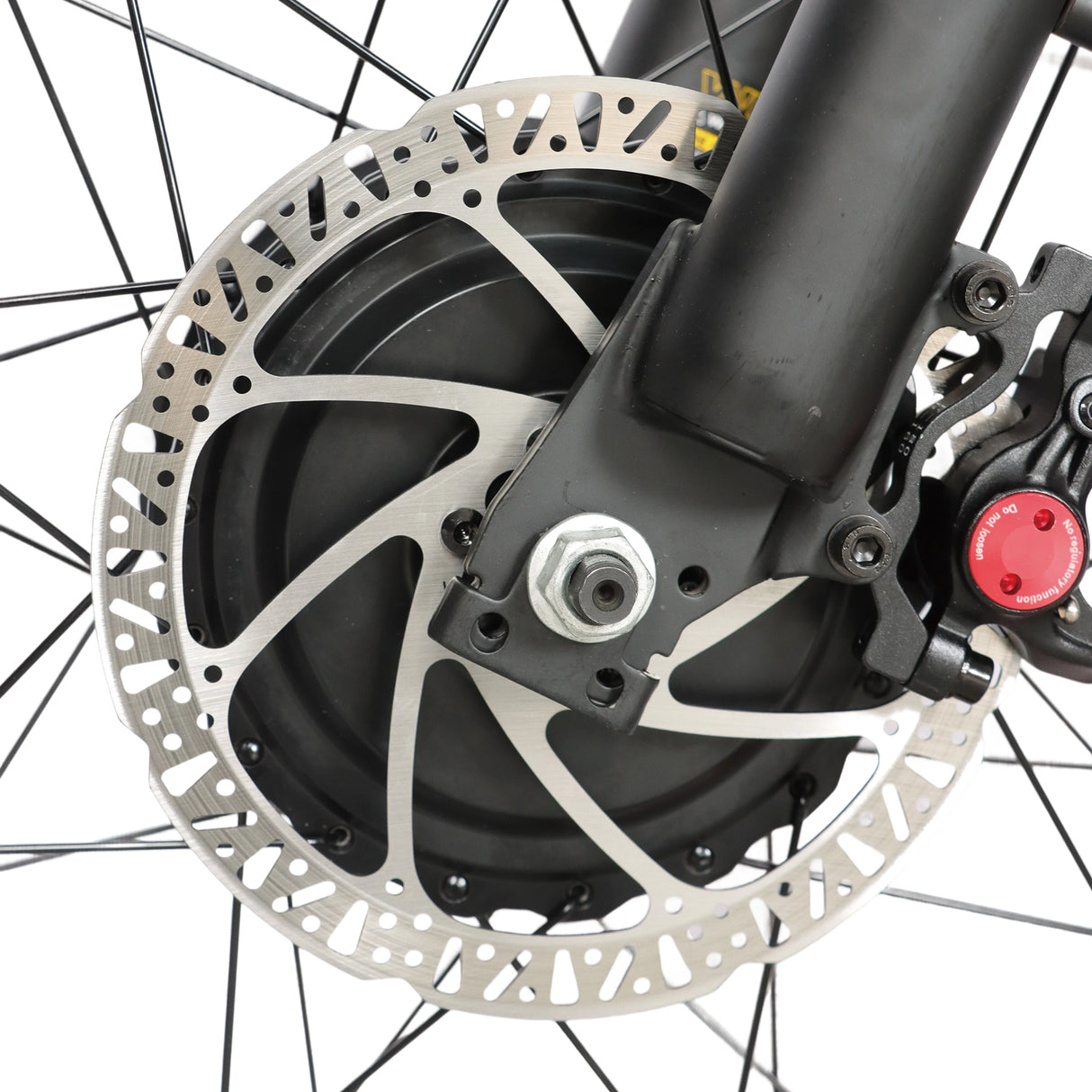 BAOLUJIE DP-2602 26" Fatbike-Elektrofahrrad 2000W Motor 48V 23Ah Batterie