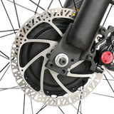BAOLUJIE DP-2602 26" Fatbike-Elektrofahrrad 2000W Motor 48V 23Ah Batterie