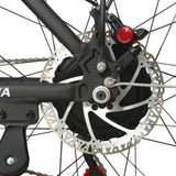 BAOLUJIE DP-2602 26" Fatbike-Elektrofahrrad 2000W Motor 48V 23Ah Batterie