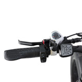 BAOLUJIE DP-2602 26" Fatbike-Elektrofahrrad 2000W Motor 48V 23Ah Batterie