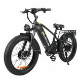 BAOLUJIE P6 2401 24" Elektrisches Mountainbike 2000W Motor 48V 20Ah Batterie
