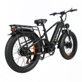 BAOLUJIE P6 2401 24" Elektrisches Mountainbike 2000W Motor 48V 20Ah Batterie