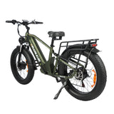 BAOLUJIE P6 2401 24" Elektrisches Mountainbike 2000W Motor 48V 20Ah Batterie