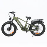 BAOLUJIE P6 2401 24" Elektrisches Mountainbike 2000W Motor 48V 20Ah Batterie