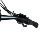BAOLUJIE BLJ S9 29" Elektrisches Mountainbike 750W Motor 48V 14Ah Batterie