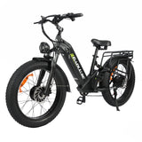BAOLUJIE P7 2401 24" Tiefeinsteiger-Elektrofahrrad 2000W Motor 48V 20Ah Batterie